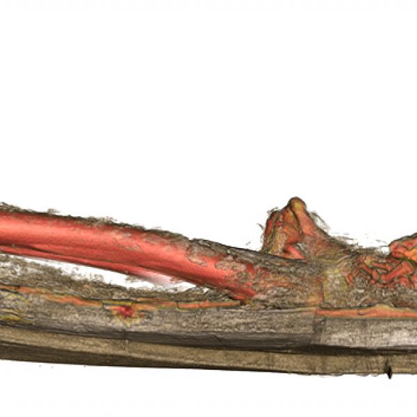 Secció lateral segons la tomografia computada de les restes del rei dins el sepulcre (Autors: Hospital Joan XXIII de Tarragona; tractament de la imatge: Joan E. Garcia Biosca)